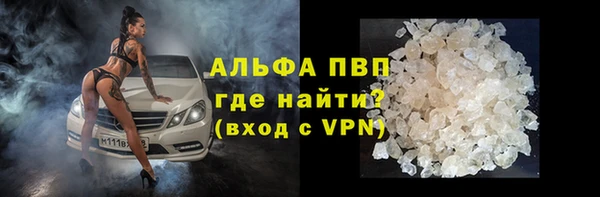 apvp Тайга
