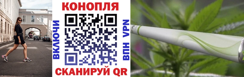 Шишки марихуана план  где можно купить   мориарти формула  Белокуриха 